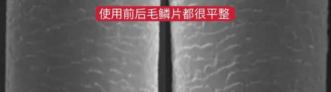就因为Ta我把3000元吹风机扔进垃圾桶！开云网站 Kaiyun开云(图12)