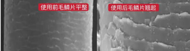 就因为Ta我把3000元吹风机扔进垃圾桶！开云网站 Kaiyun开云(图11)
